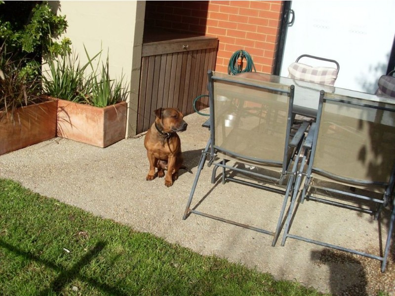 6/2 Greenfield Drive, Clayton VIC 3168