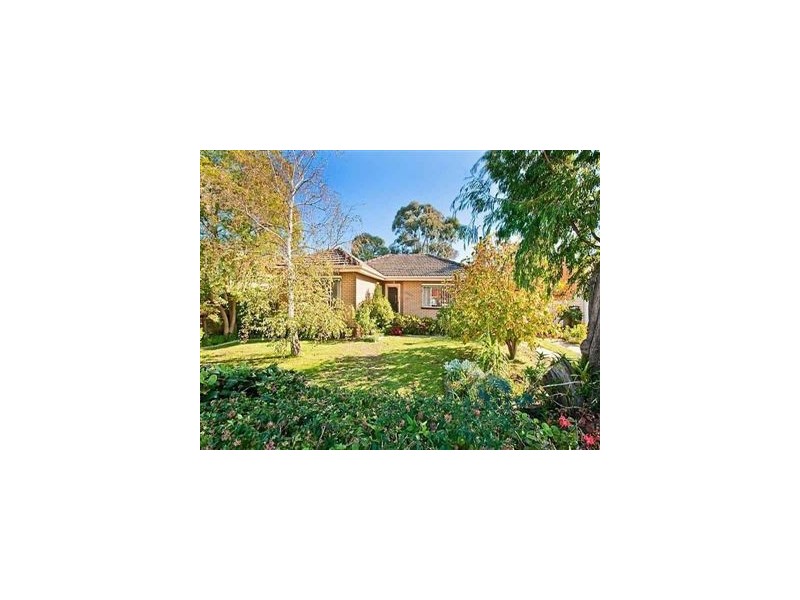 29 Harlington Street, Clayton VIC 3168