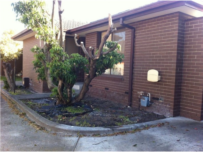 3/64 Edinburgh Street, Clayton VIC 3168