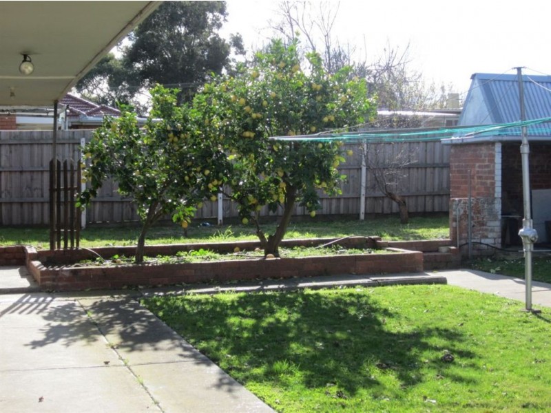 23 Lillian Street, Clayton VIC 3168