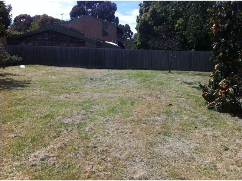 68 Marshall Avenue, Clayton VIC 3168