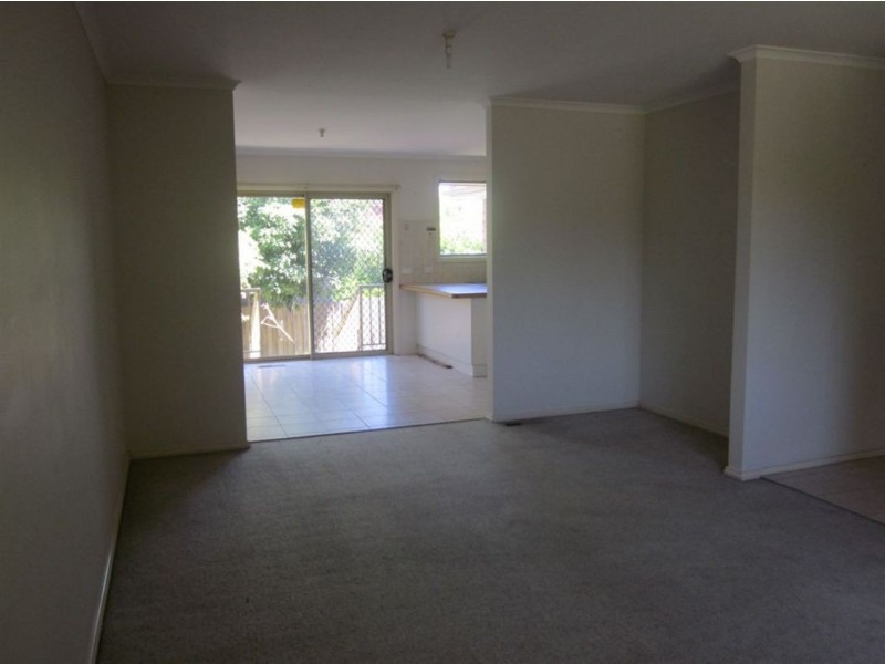 14 Iona Street, Clayton VIC 3168