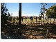 20 Warburton Street, Murrumba Downs QLD 4503
