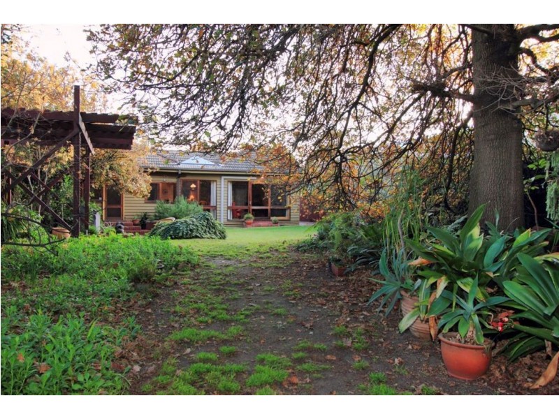 24 Jean Street, Cheltenham VIC 3192