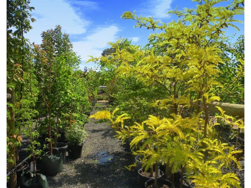 2680 Frankston Flinders Road, Bittern VIC 3918