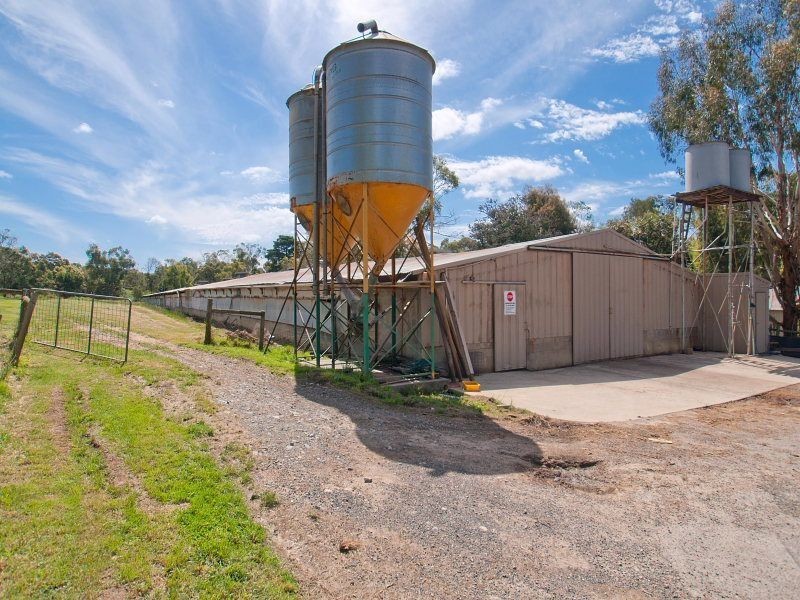 55 West Road, Langwarrin South VIC 3911