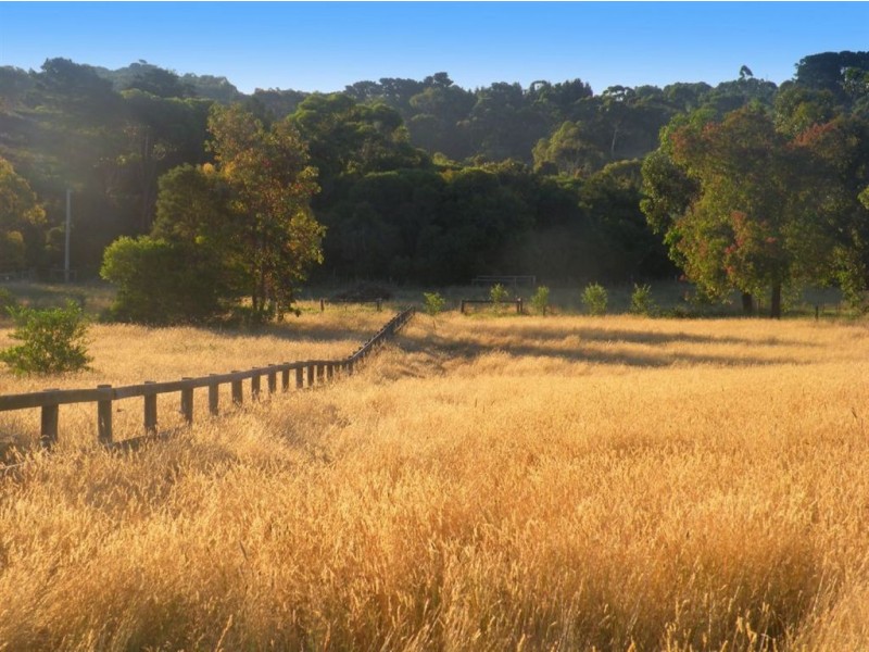 162 Graydens Road, Moorooduc VIC 3933