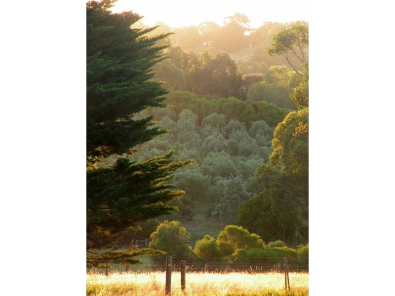 162 Graydens Road, Moorooduc VIC 3933