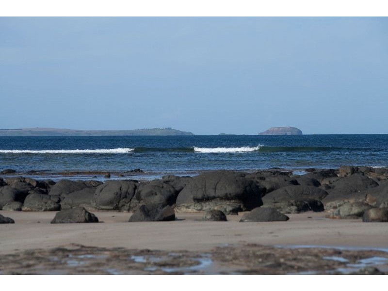 13 Cliff Road, Shoreham VIC 3916