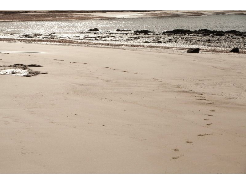 13 Cliff Road, Shoreham VIC 3916