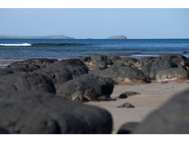 13 Cliff Road, Shoreham VIC 3916