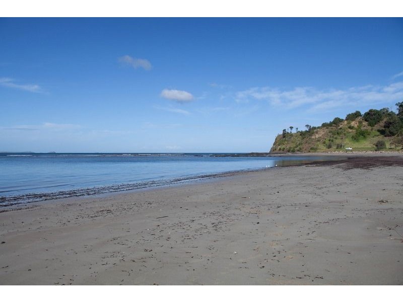 13 Cliff Road, Shoreham VIC 3916