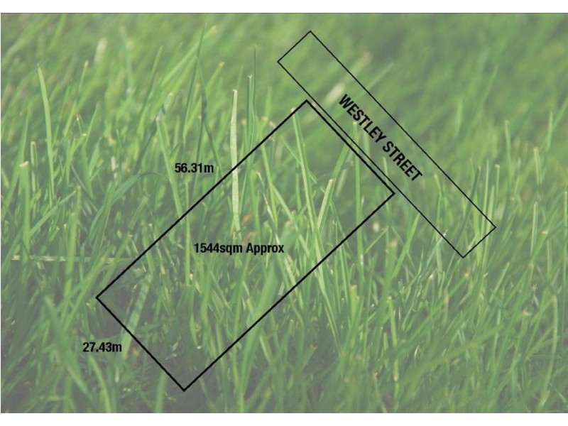 42-44 Westley Street, Carrum VIC 3197