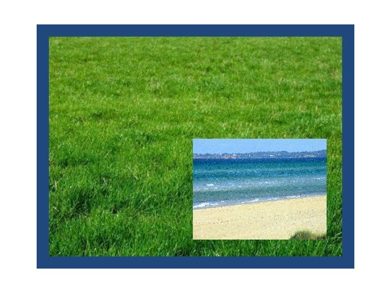 89 Rae Avenue, Edithvale VIC 3196