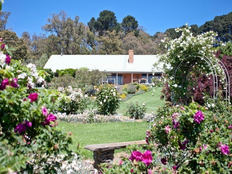 Red Hill VIC 3937