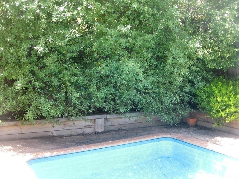 6 Tori Place, Patterson Lakes VIC 3197