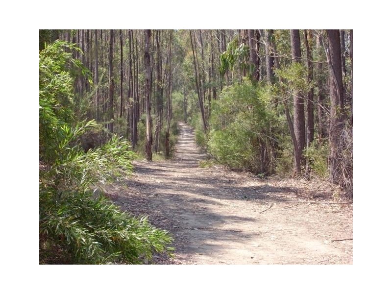 155 Ridge Road, Noojee VIC 3833