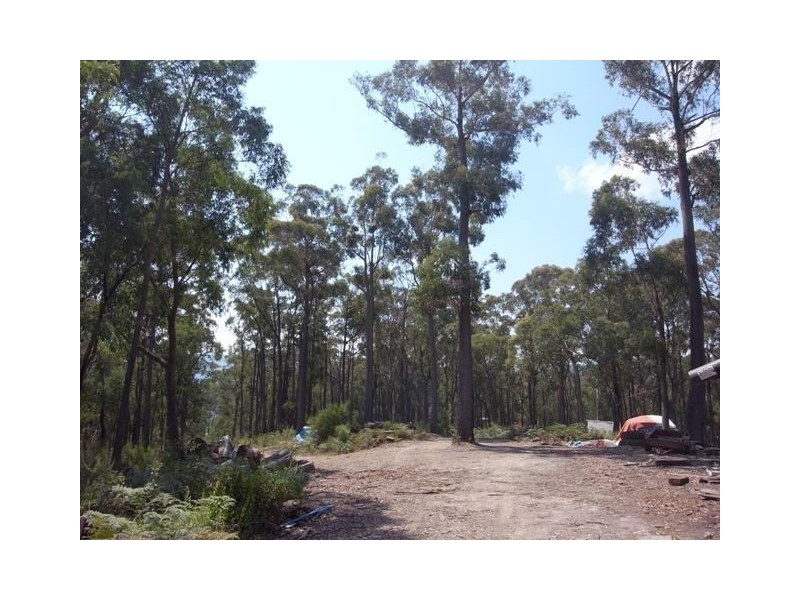 155 Ridge Road, Noojee VIC 3833