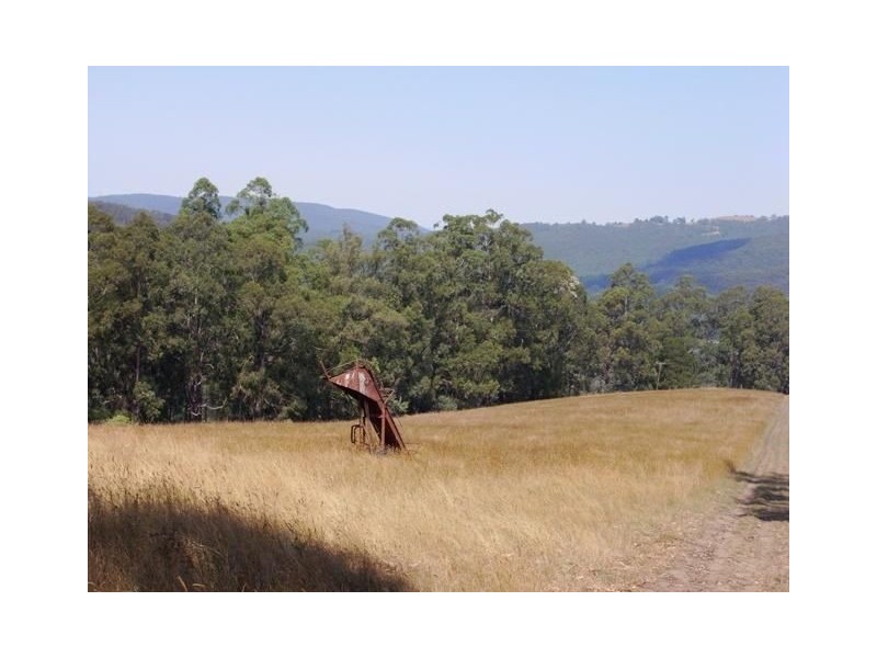 155 Ridge Road, Noojee VIC 3833