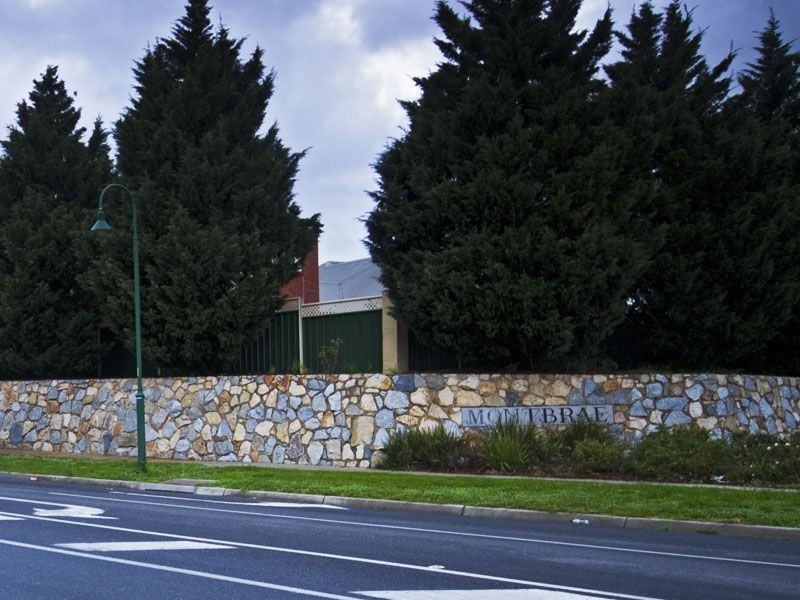 51 Montbrae Circuit, Narre Warren VIC 3805