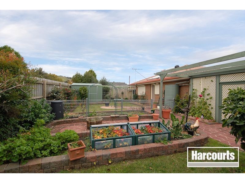 11 Ellenvale Drive, Narre Warren VIC 3805