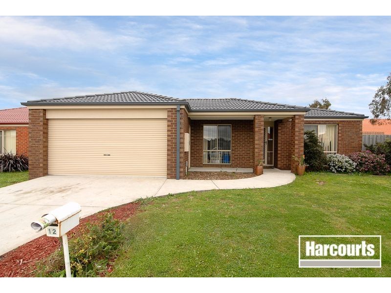 12 Nile Crescent, Cranbourne VIC 3977