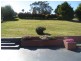 32 Merinda Drive, Ulverstone TAS 7315