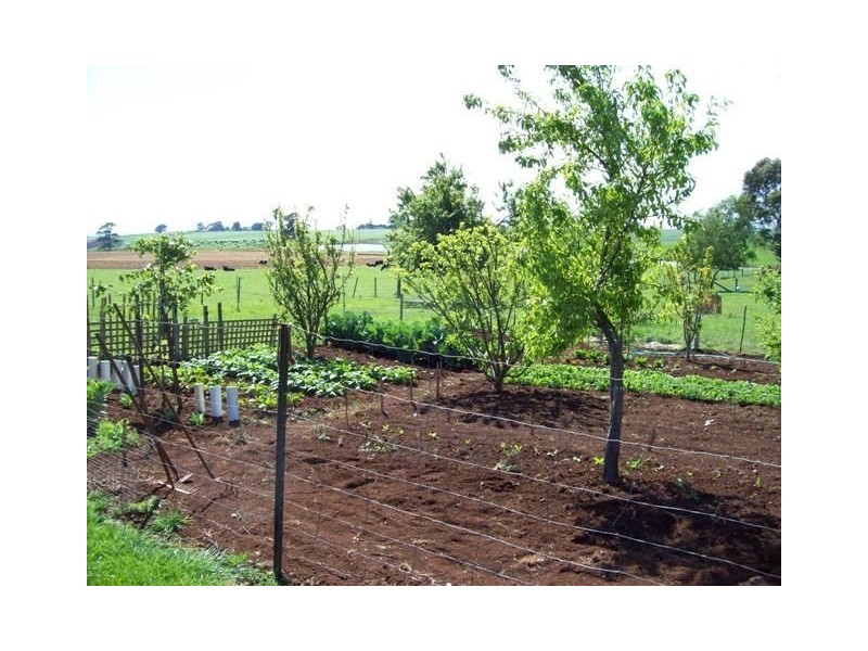 33 Daveys Road, West Pine TAS 7316