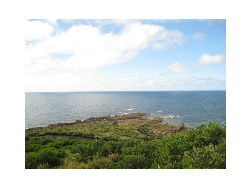 Chasm Creek TAS 7321