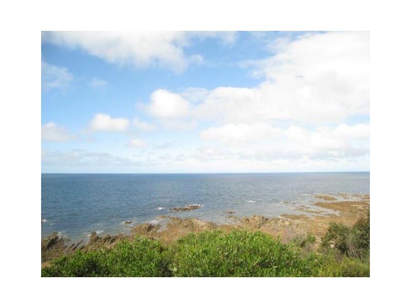 Chasm Creek TAS 7321