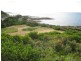 Chasm Creek TAS 7321