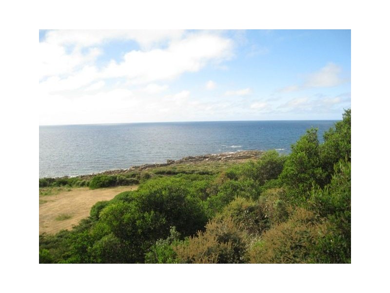 Chasm Creek TAS 7321