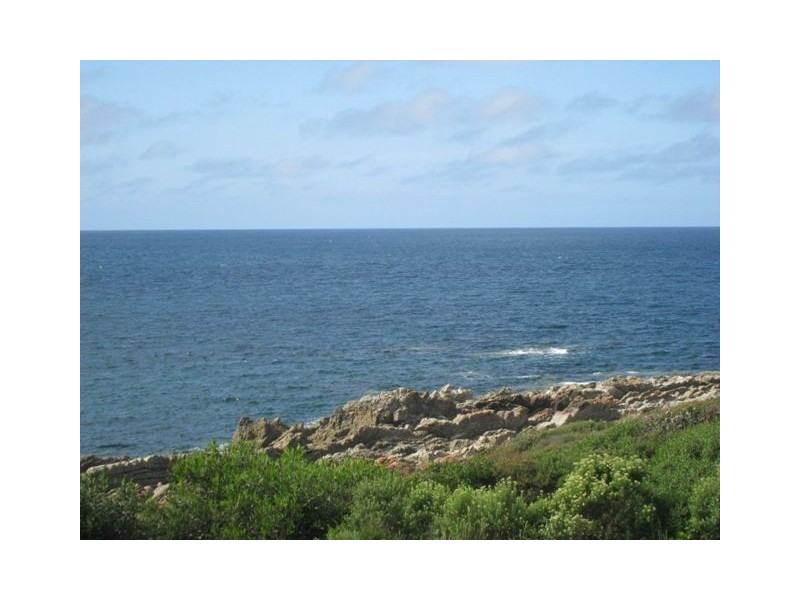 Chasm Creek TAS 7321