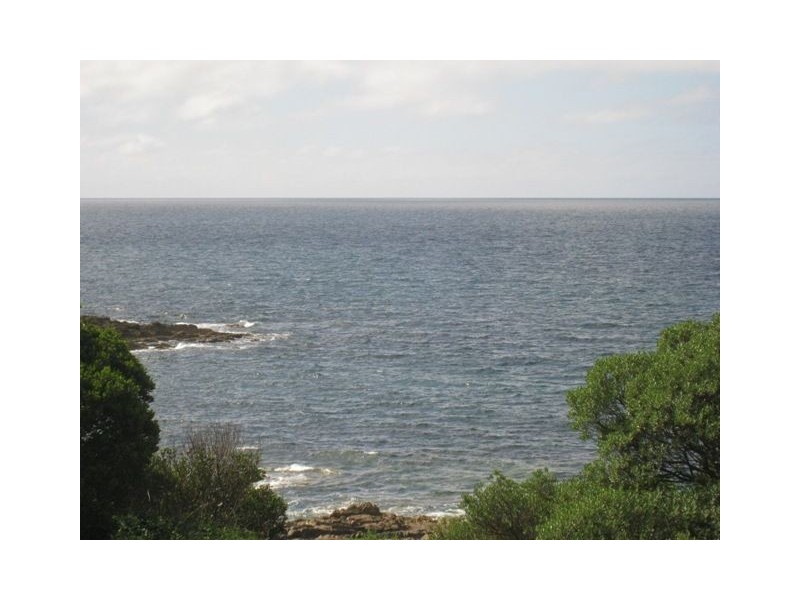 Chasm Creek TAS 7321