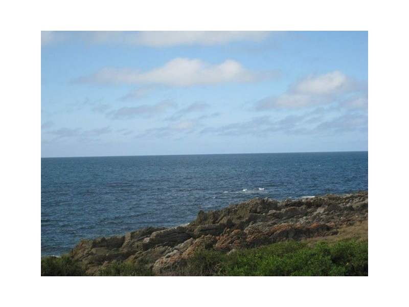 Chasm Creek TAS 7321