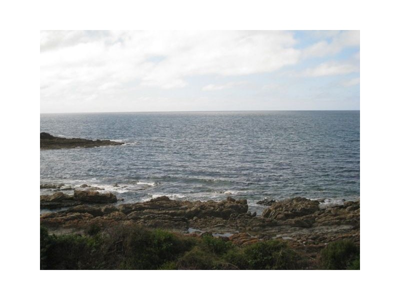 Chasm Creek TAS 7321