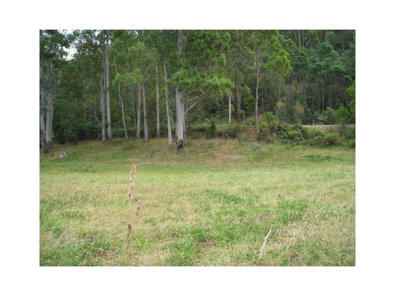 Paloona TAS 7310