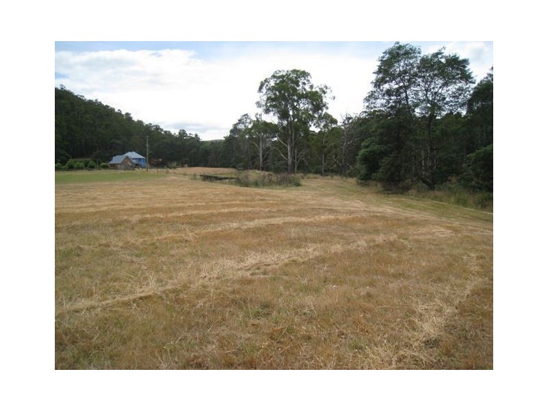 Paloona TAS 7310