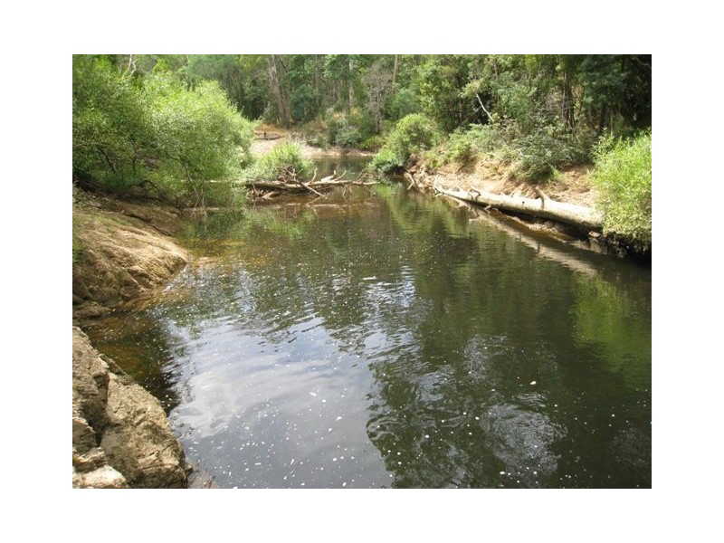 Paloona TAS 7310