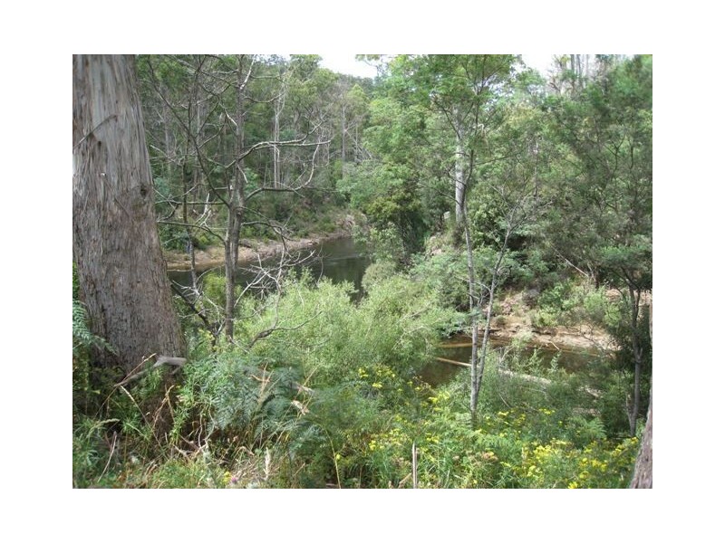 Paloona TAS 7310