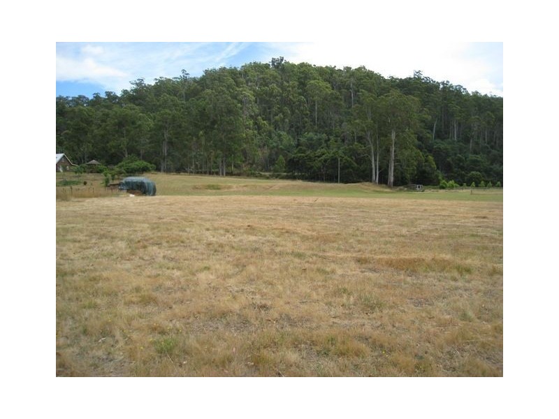 Paloona TAS 7310