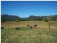 Gunns Plains TAS 7315