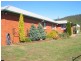 834 Ironcliffe Road, Penguin TAS 7316