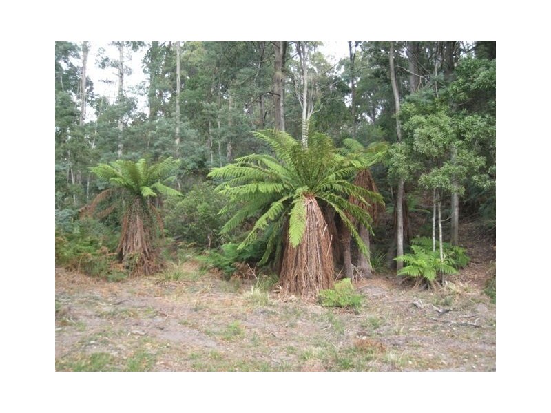 130 Dial Road, Penguin TAS 7316