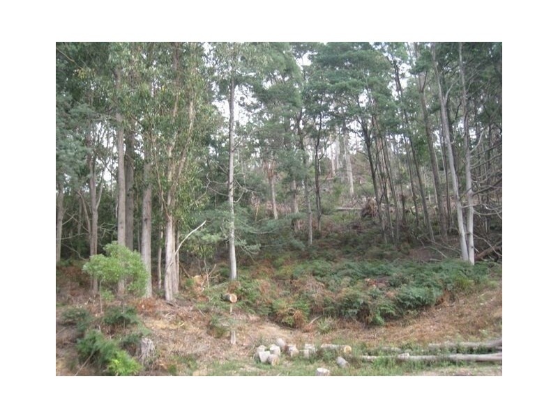 130 Dial Road, Penguin TAS 7316