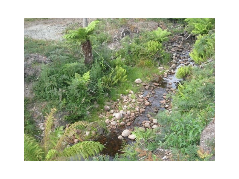 130 Dial Road, Penguin TAS 7316