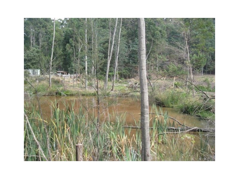 130 Dial Road, Penguin TAS 7316