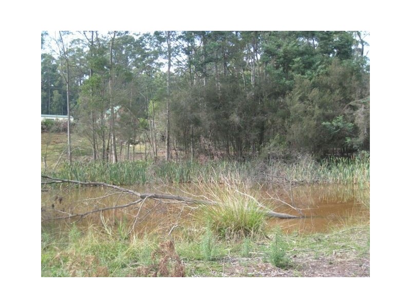 130 Dial Road, Penguin TAS 7316