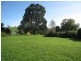 West Pine TAS 7316