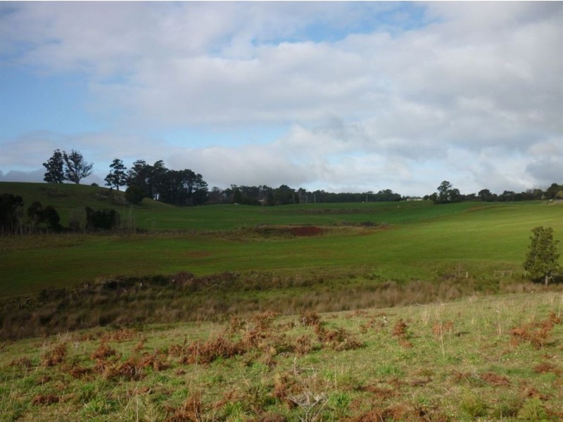 Lower Barrington TAS 7306